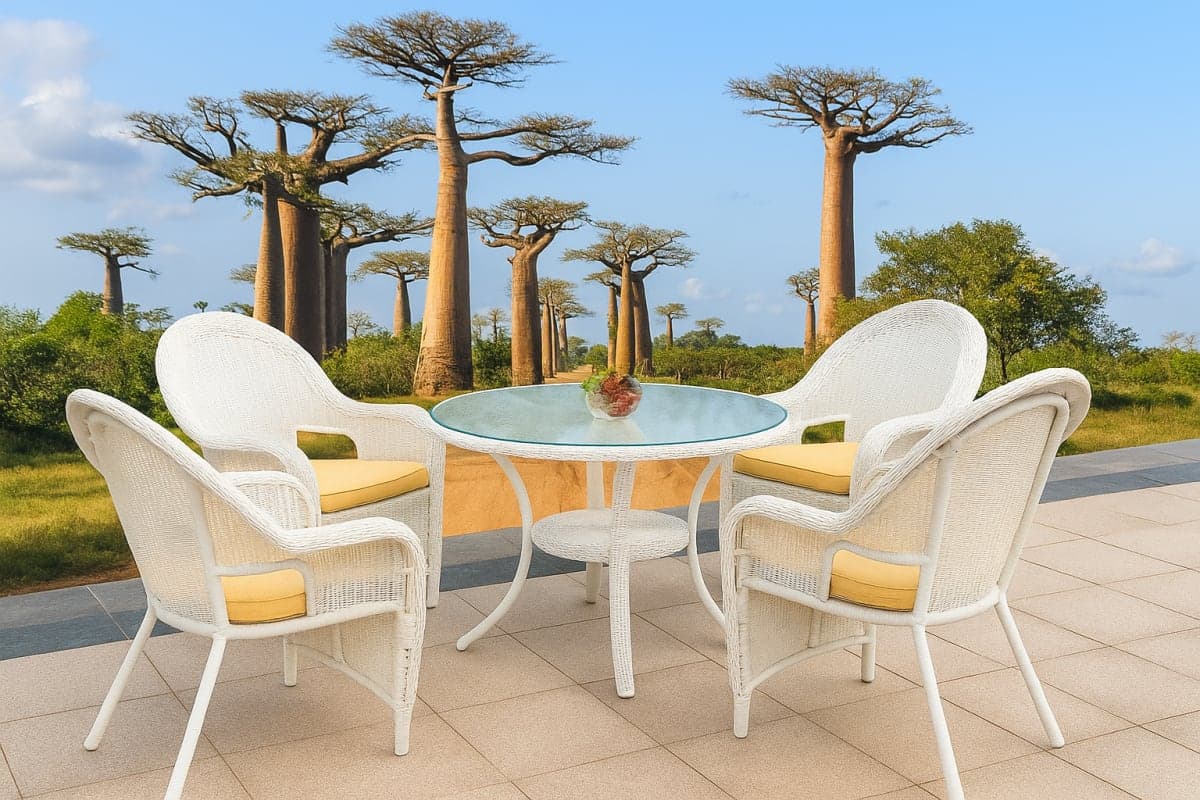 Ensemble de Repas "Baobab" - Mobilier artisanal Ebène Madagascar