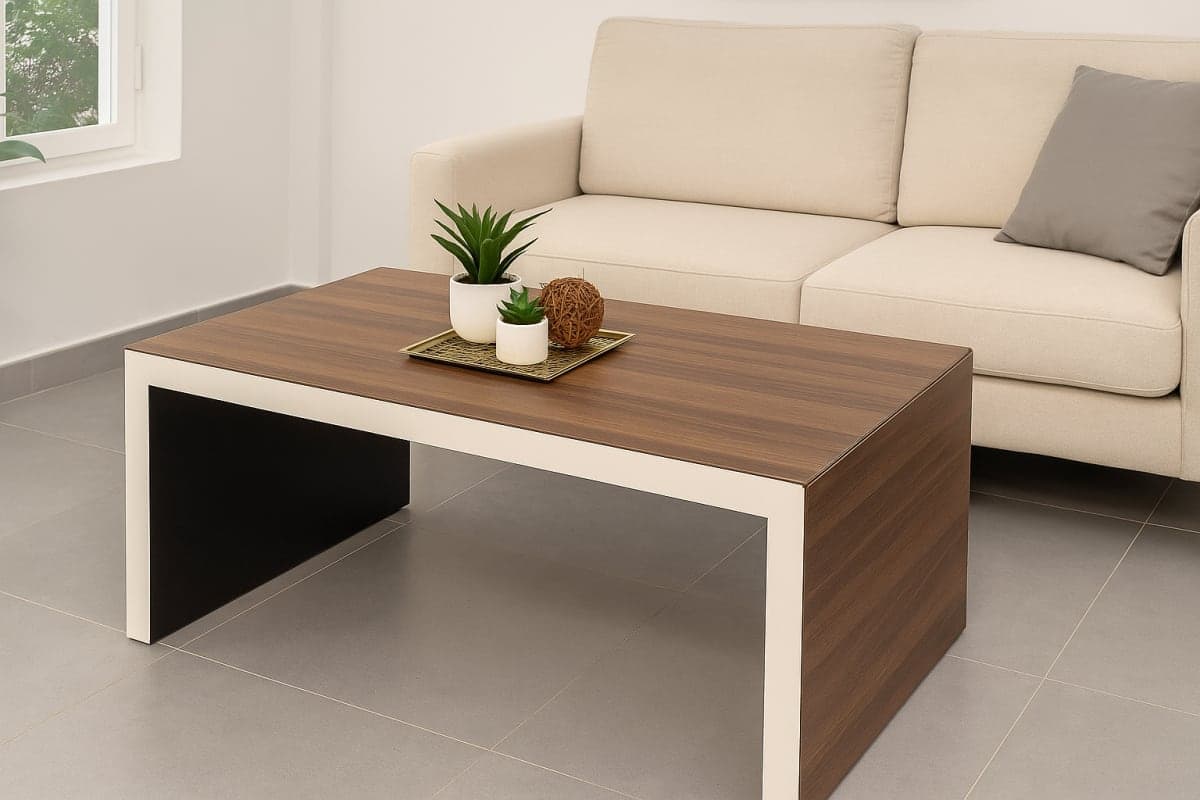 Table Basse - Mobilier artisanal Ebène Madagascar