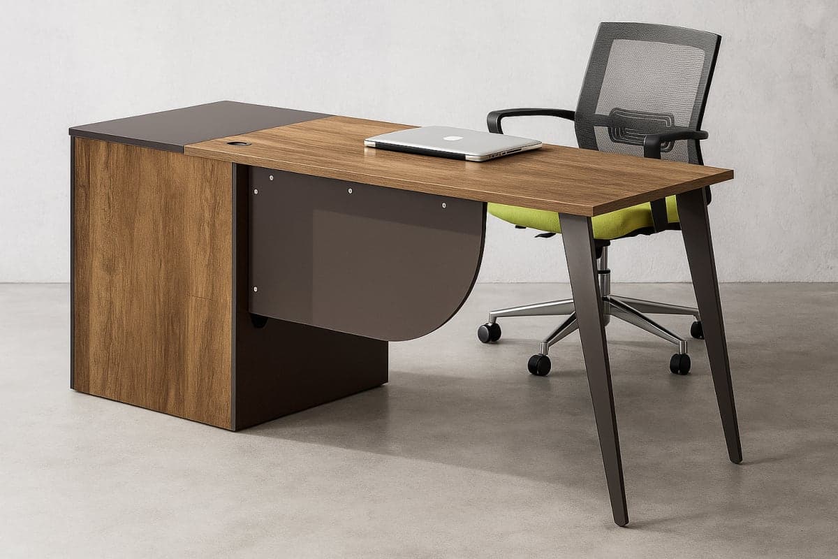 Bureau Exécutif Moderne - Mobilier artisanal Ebène Madagascar